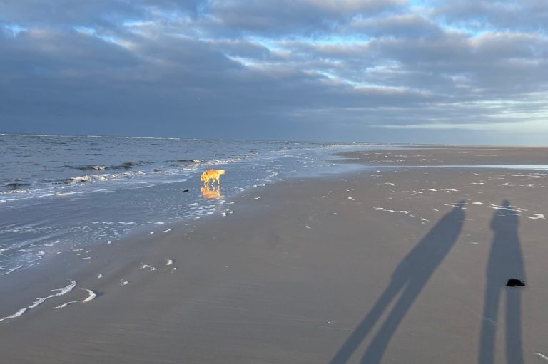 Strandszene Langeoog Strandlandschaft mit Wellen, Schatten zweier Personen und einem Golden Retriver im Sand.